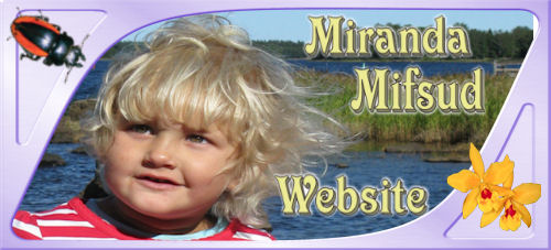 Miranda Mifsud Website - Click on logo image to go back to home page